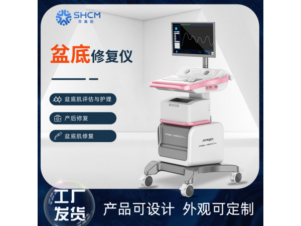 产后盆底修复仪  盆底肌康复仪 盆底肌修复仪