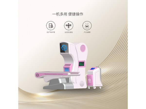 妇科综合治疗仪器 妇科病综合理疗仪 产康护理仪器