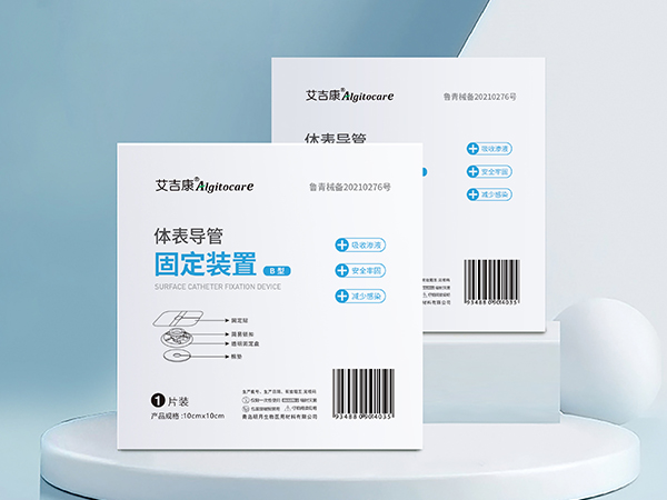体表导管固定装置