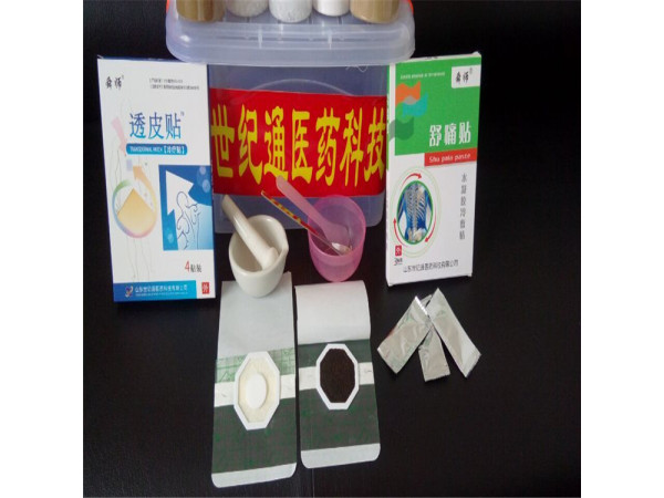 舜师中药 沙蒿子透皮贴厂家供应