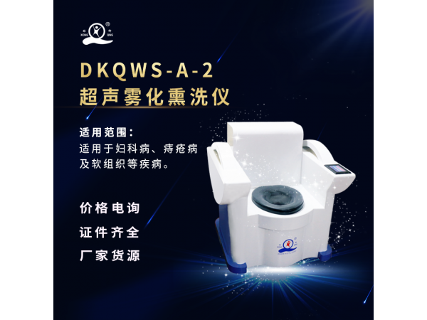 超声雾化熏洗仪  生产厂家