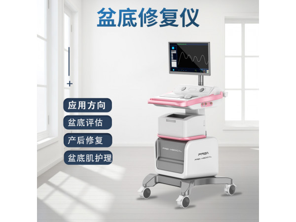 盆底肌护理仪  产后盆底生物刺激反馈仪  产后盆底康复仪
