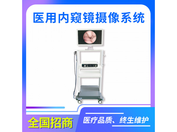 内窥镜