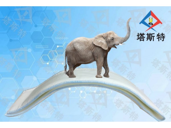塔斯特医用高分子夹板 型号齐全，性价比高，更易塑形
