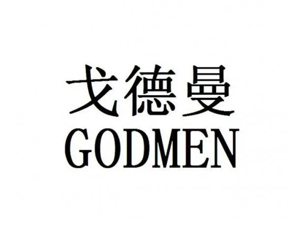 戈德曼 冠状动脉棘突球囊导管NS22513 血管介入耗材