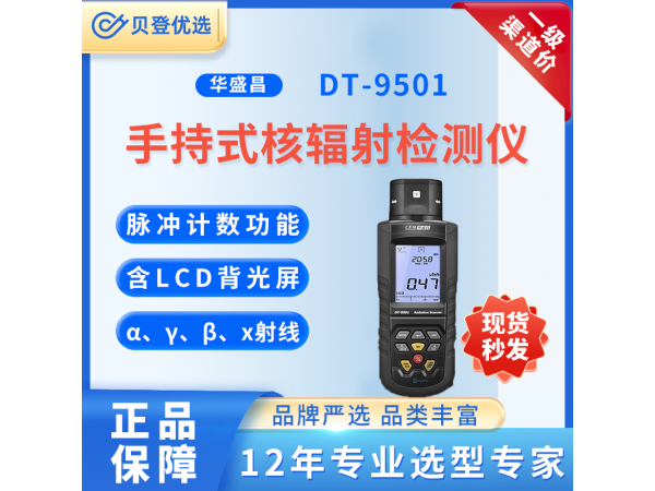 华盛昌 手持式核辐射检测仪 DT-9501