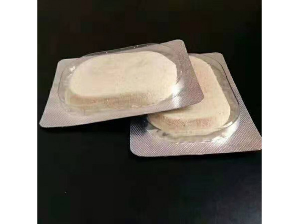 沙蒿子透皮贴