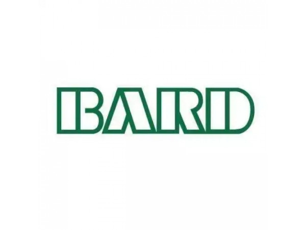 巴德Bard PTA球囊导管 litepac 68202082 血管介入耗材