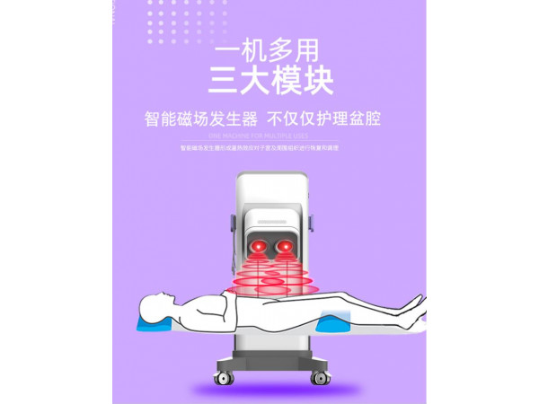 产后盆腔修复治疗仪