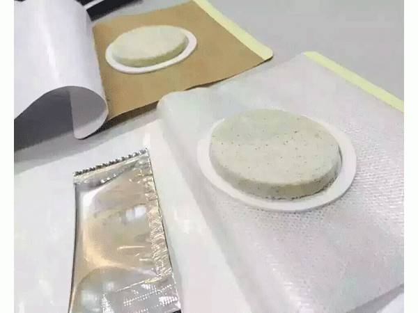 沙蒿子透皮贴