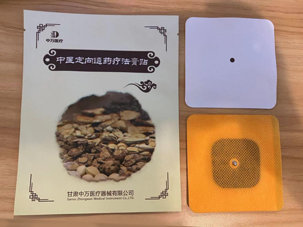 中医定向透药疗法膏贴
