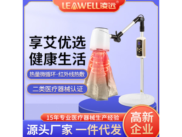 电子无烟艾灸仪 医院招标艾灸治疗仪电 LY-AJ07b