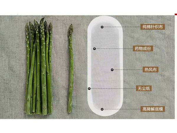 女性 排毒养元贴OEM贴牌加工