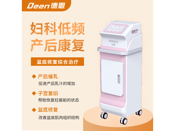 产后康复仪/妇科低频脉冲综合治疗仪/盆底康复治疗仪/低频脉冲