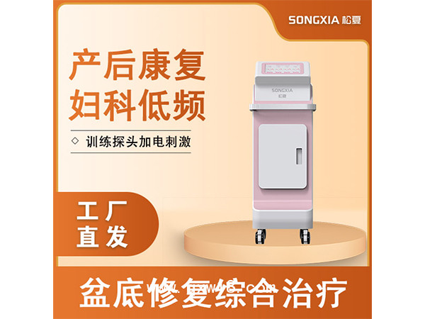 产后康复仪/妇科低频脉冲综合治疗仪/盆底康复治疗仪/低频脉冲