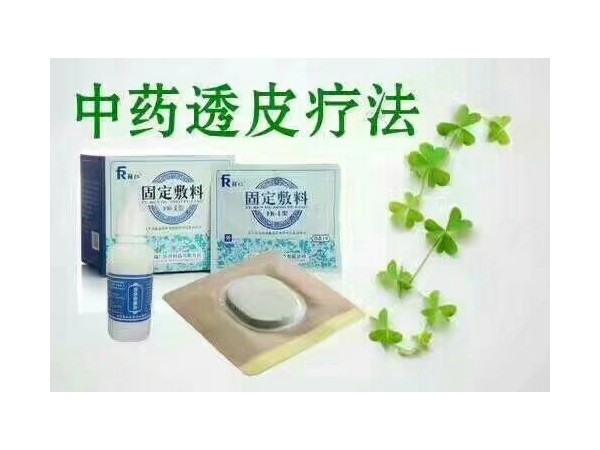 沙蒿子透皮贴