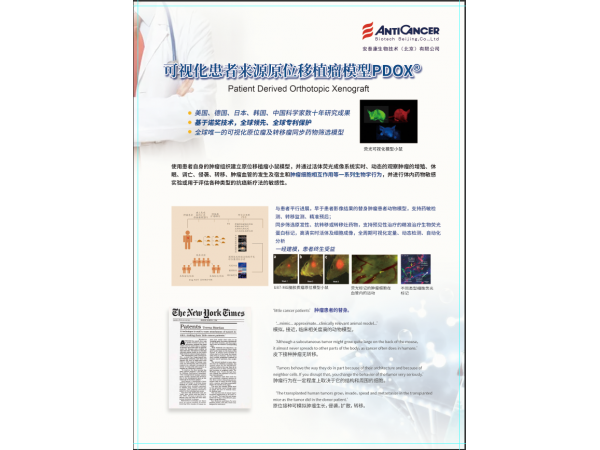 早期手术肿瘤患者抗复发、抗转移、促进生存全过程管理服务