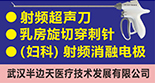 武汉半边天医疗技术发展有限公司