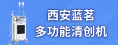 西安蓝茗医疗科技有限公司
