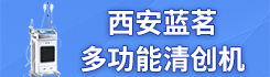 西安蓝茗医疗科技有限公司