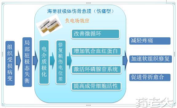 驻极体伤骨愈膜（骨刺型/伤痛型）