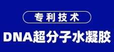 吉林省中科精研医疗技术研究院 
