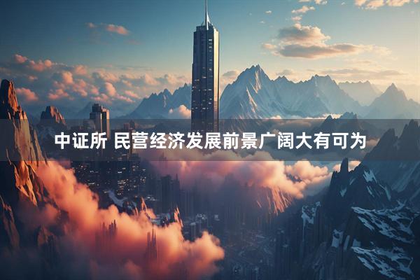 中证所 民营经济发展前景广阔大有可为