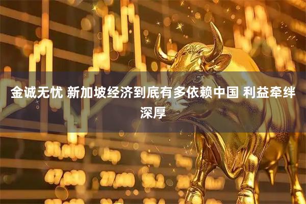 金诚无忧 新加坡经济到底有多依赖中国 利益牵绊深厚
