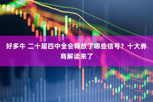 好多牛 二十届四中全会释放了哪些信号?十大券商解读来了