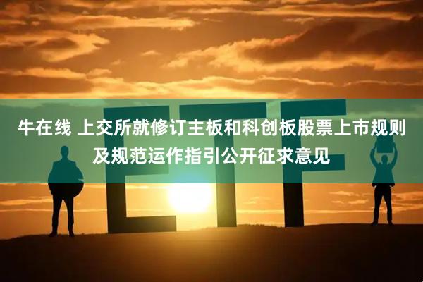 牛在线 上交所就修订主板和科创板股票上市规则及规范运作指引公开征求意见